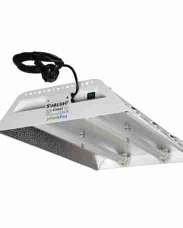 prima klima starlight