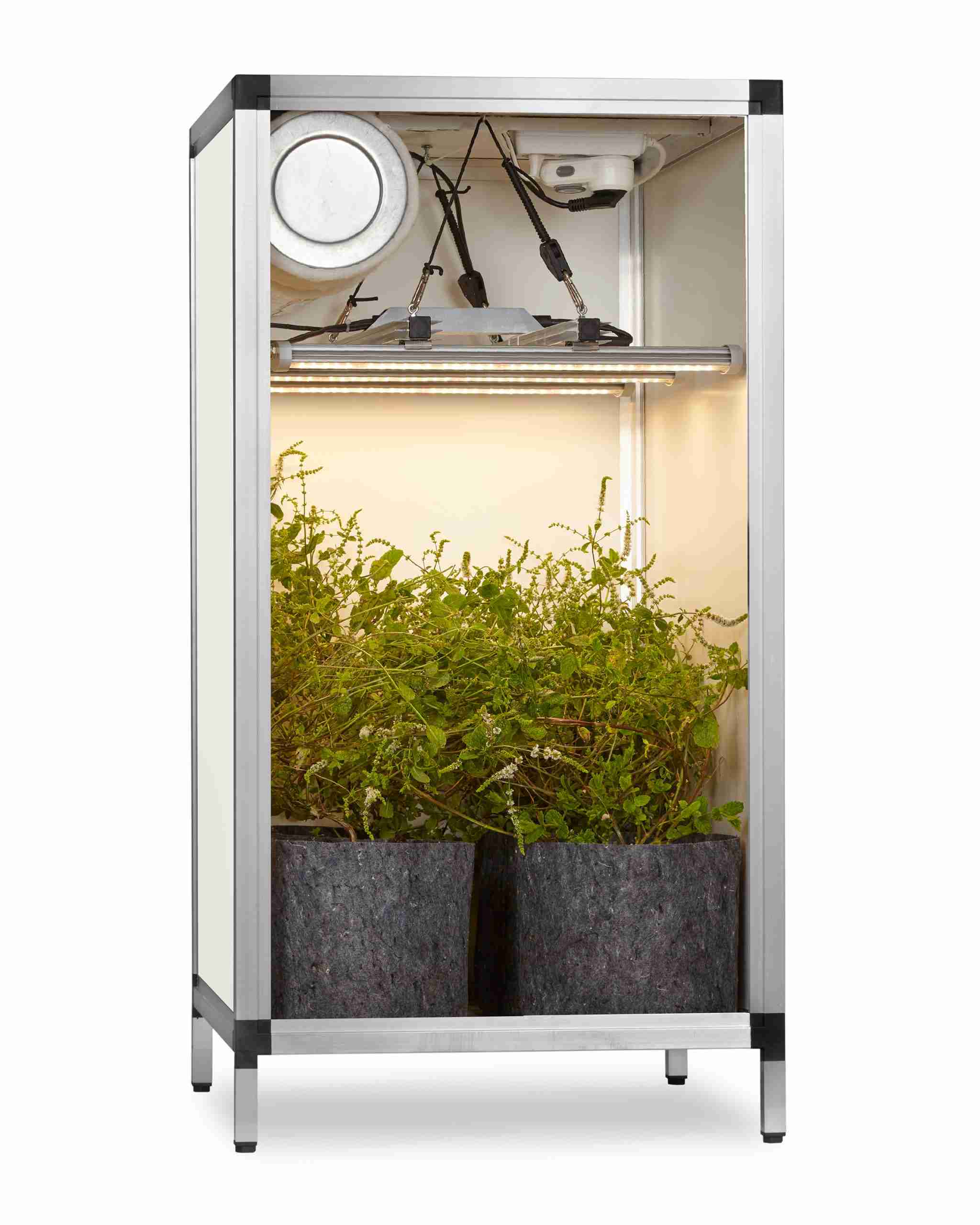 Growbox koelkastmodel met LED