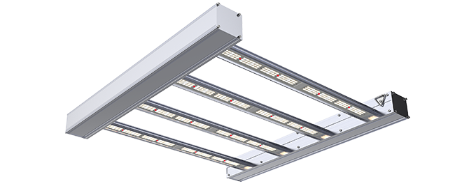 Led kweeklampen