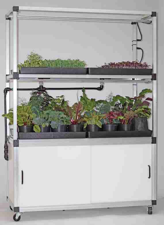 kweekkast voor microgreens