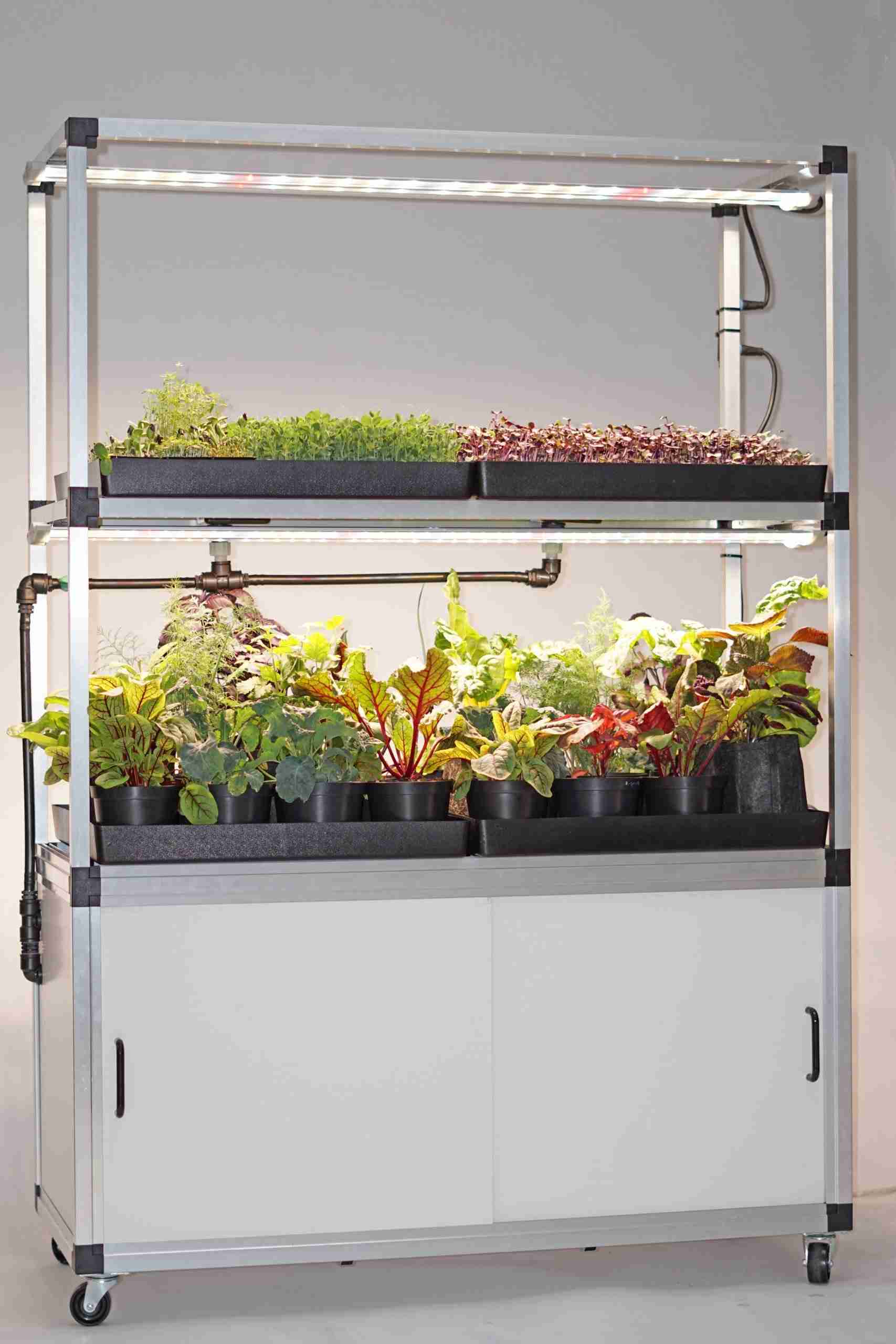 Kitchenfarm XL 2