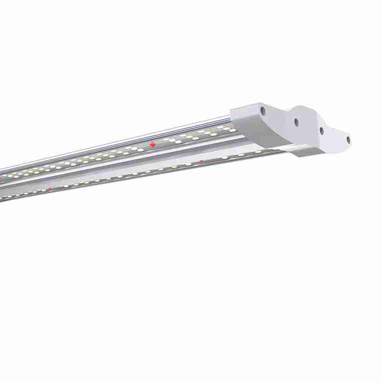 Grow Light für Vertical Farming