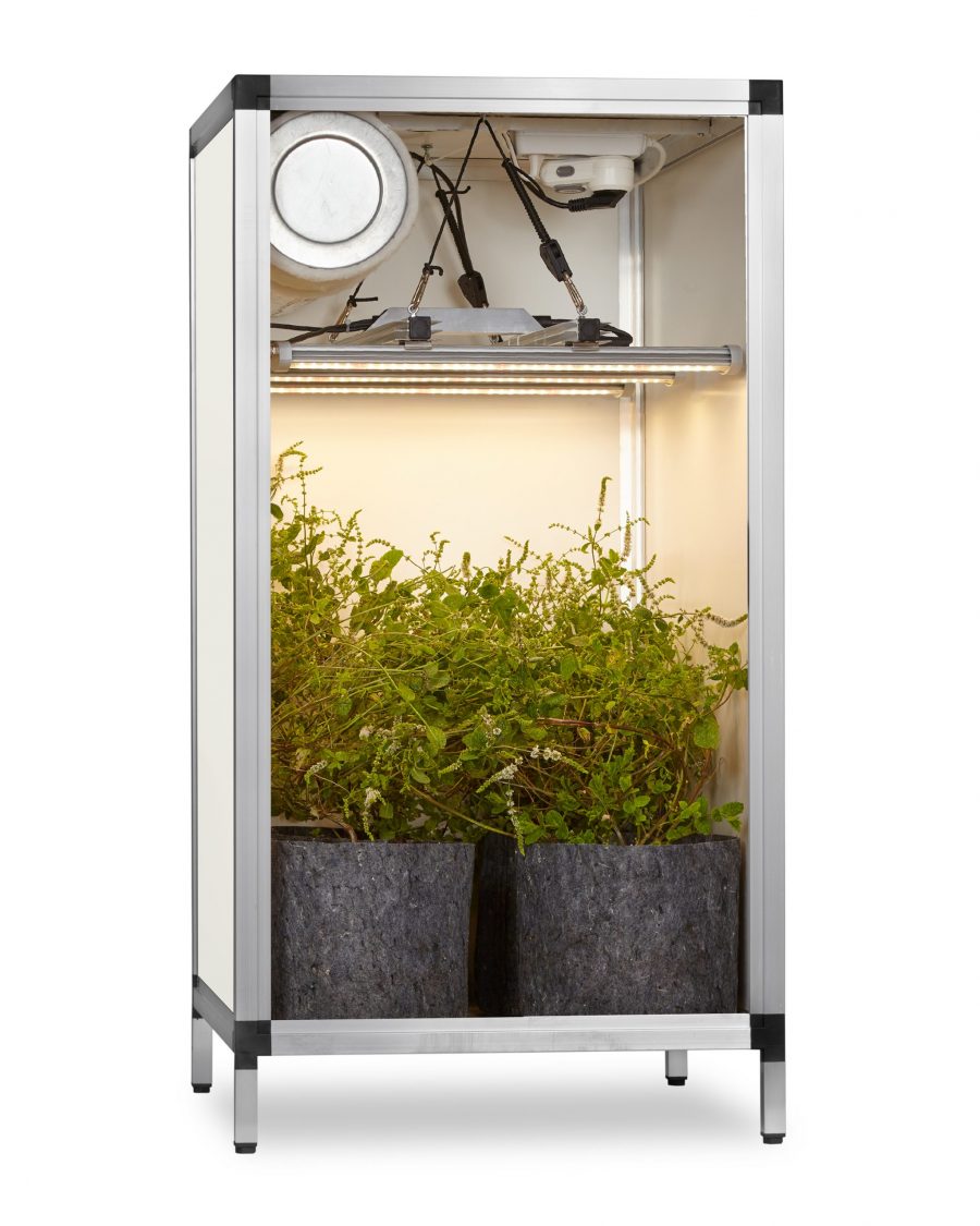 Manual Bonanza Bench model grow box